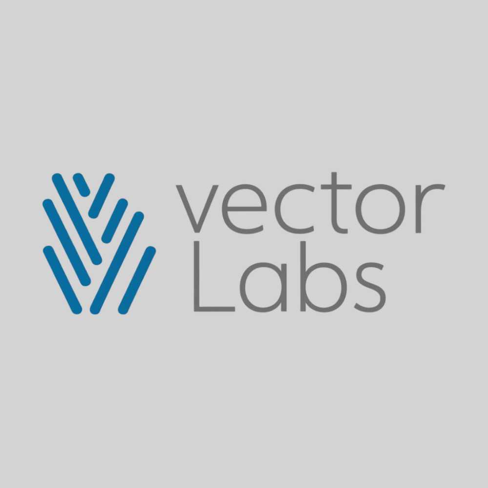 Logo-02